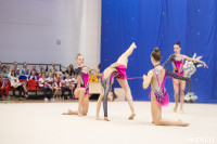 Соревнования по художественной гимнастике на призы благотворительного фонда «Земляки», Фото: 30