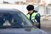 «Цветочный патруль — 2026», Фото: 85