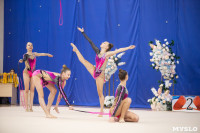 Соревнования по художественной гимнастике на призы благотворительного фонда «Земляки», Фото: 23