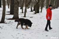 В Центральном парке прошёл рейд по выявлению нарушений выгула собак, Фото: 14