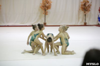 Соревнования по художественной гимнастике "Осенний вальс", Фото: 126