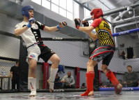 В Новомосковске прошел Чемпионат и Первенство Тульской области по ММА, Фото: 26