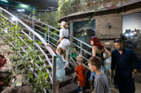 Иммерсивный спектакль Мюсли, Фото: 45