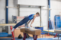 Тульский гимнаст Иван Шестаков, Фото: 3