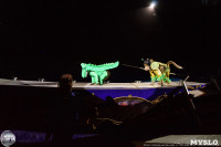 Цирк на воде «Остров сокровищ» в Туле: Здесь невозможное становится возможным, Фото: 133