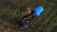 Виноград с южных склонов Дубны: как работает необычная семейная ферма в Тульской области, Фото: 34
