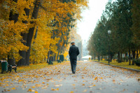 Золотая осень в Центральном парке, Фото: 3