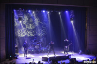 «Кукрыниксы» выступили в Туле с прощальным концертом, Фото: 83