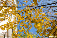 Золотая осень по-тульски, Фото: 56