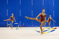 В Туле стартовало первенство Центрального федерального округа по художественной гимнастике, Фото: 12