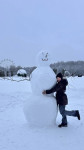 Туляки делятся фотографиями своих снеговиков, Фото: 9