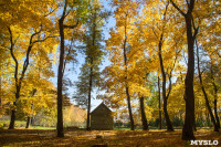 Золотая осень в Ясной Поляне, Фото: 39