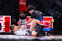 В «Тула-Арене» состоялись областные соревнования по ММА, Фото: 138