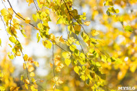 Золотая осень в Ясной Поляне, Фото: 34