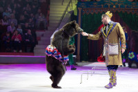 Цирковое шоу Жар птица, Фото: 11
