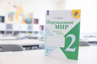 Как выглядит после ремонта тульская гимназия №30, Фото: 70