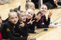 В Туле стартовало первенство Центрального федерального округа по художественной гимнастике, Фото: 58