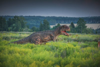 Парк динозавров, Фото: 10