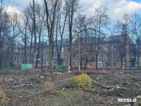 В сквере на улице Приупской вырубают тополя: в администрации рассказали, зачем, Фото: 4