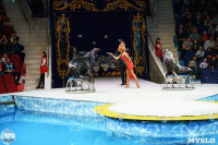 Цирк на воде «Остров сокровищ» в Туле: Здесь невозможное становится возможным, Фото: 85