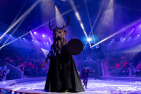 Цирковое шоу Жар птица, Фото: 110