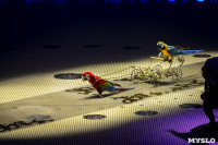 Шоу фонтанов «13 месяцев» в Тульском цирке – подарите себе и близким путевку в сказку!, Фото: 20