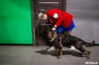 Выставка собак в Туле, Фото: 25