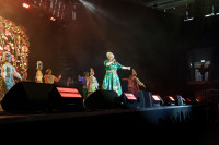 «Народный» концерт Надежды Кадышевой, Фото: 38