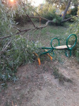 В Туле дерево упало на детскую площадку во дворе многоквартирного дома, Фото: 1