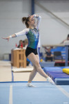 Всероссийские соревнования по спортивной гимнастике, Фото: 73