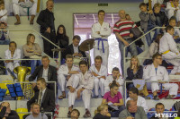 Всероссийский турнир по дзюдо на призы губернатора ТО Владимира Груздева, Фото: 19