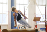 Спортивная гимнастика в Туле 3.12, Фото: 9