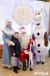 В Туле открылась резиденция Деда Мороза, Фото: 69
