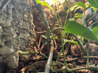 , Фото: 105