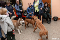 Выставки собак в ДК "Косогорец", Фото: 52