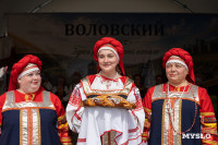 День Тульского поля-2026: чем удивляли тульские аграрии. Большой репортаж, Фото: 124