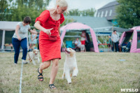 Всероссийская выставка собак в Туле, Фото: 77