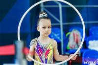 Тула провела крупный турнир по художественной гимнастике, Фото: 80