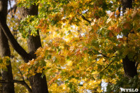 Золотая осень по-тульски, Фото: 88