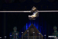 Цирковое шоу Жар птица, Фото: 24