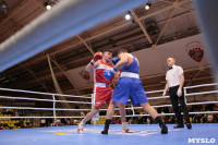 Финал турнира по боксу "Гран-при Тулы", Фото: 234