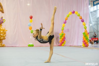 Соревнования по художественной гимнастике "Тульский сувенир", Фото: 67
