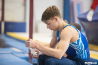 Тульский гимнаст Иван Шестаков, Фото: 9