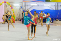 Соревнования по художественной гимнастике "Тульский сувенир", Фото: 24
