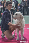 Выставка собак в Туле 26.01, Фото: 73