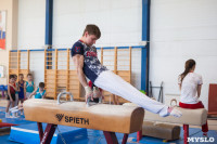 Мужская спортивная гимнастика в Туле, Фото: 31