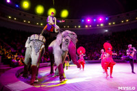 Цирк Инди Ра, Фото: 56
