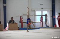 Соревнования по спортивной гимнастике на призы Заслуженных мастеров спорта , Фото: 59