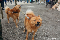 В Тульской области прошел фестиваль охоты, Фото: 94