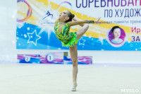 Тула провела крупный турнир по художественной гимнастике, Фото: 117